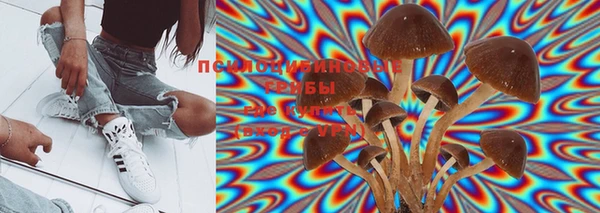 PSILOCYBIN Алексеевка